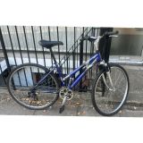 Raleigh Hybrid Bike
